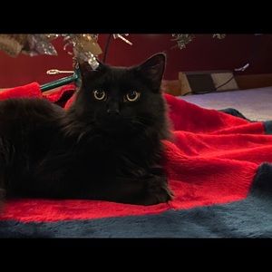 Meet your Posher, Deb